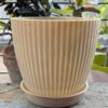 Round Pots ( set of 5 )