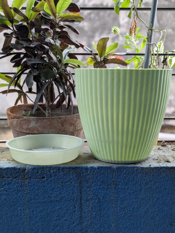 Round Pots ( set of 5 )