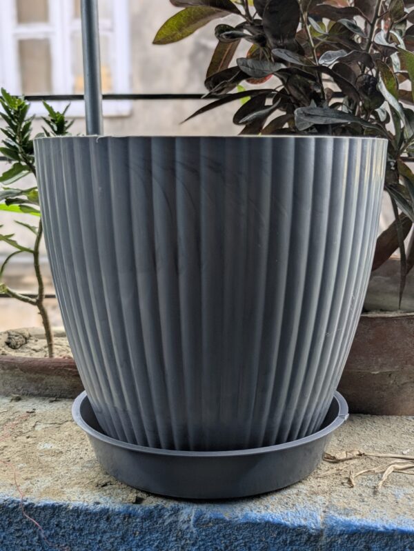 Round Pots ( set of 5 )
