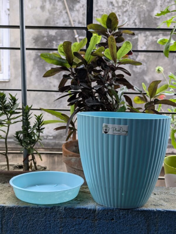 Round Pots ( set of 5 )