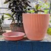 Round Pots ( set of 5 )