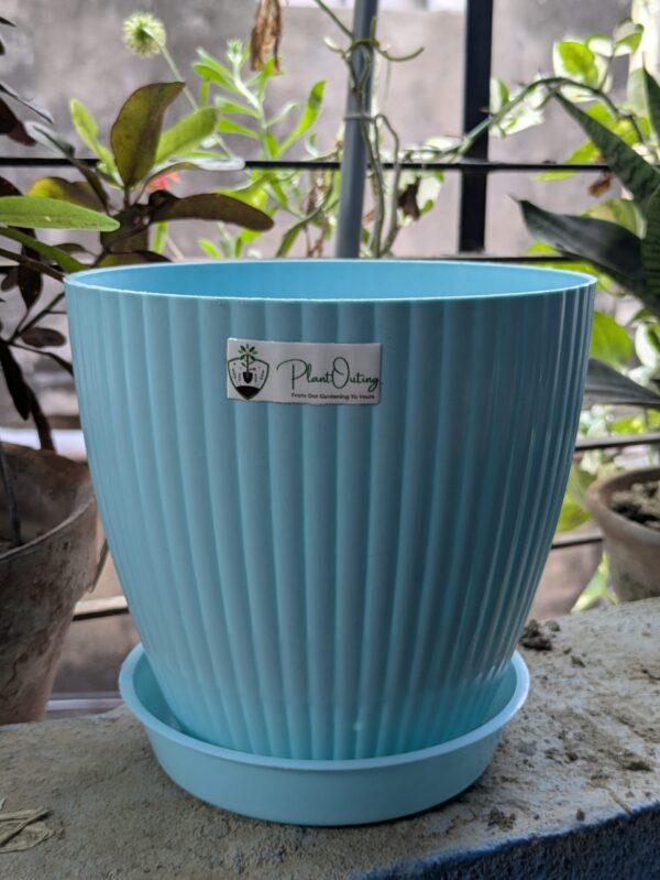 Round Pots ( set of 5 )