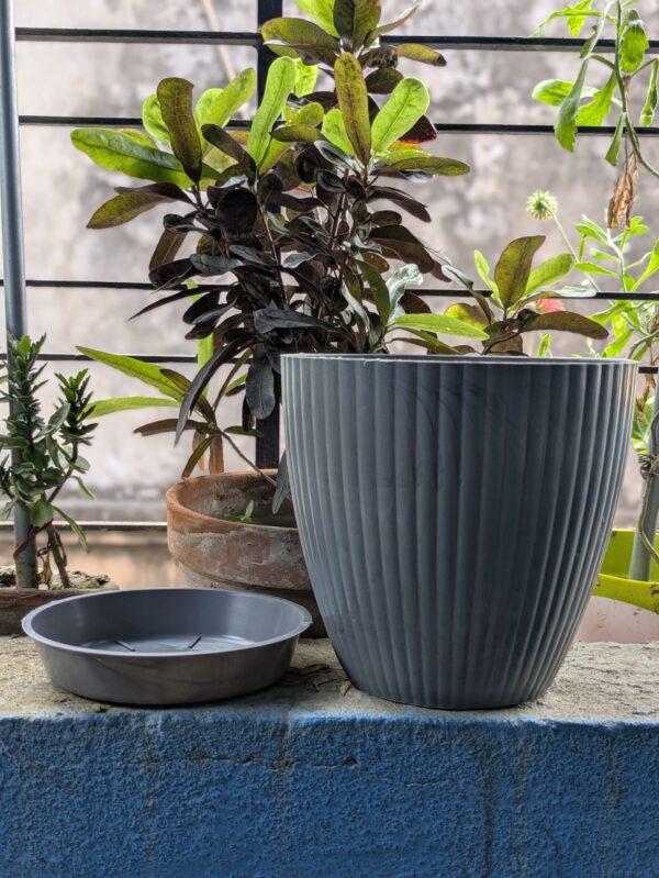 Round Pots ( set of 5 )