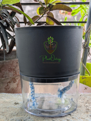 Self Watering Pots ( SET OF 3 )