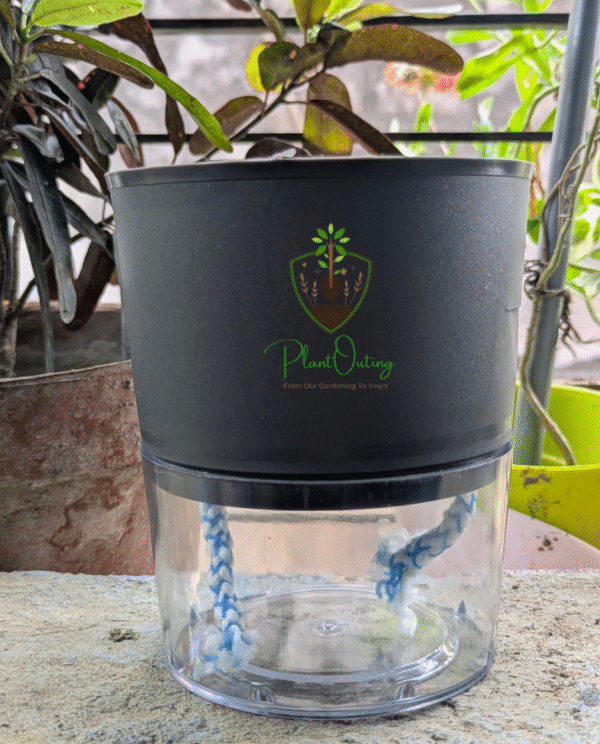 Self Watering Pots ( SET OF 3 )