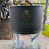 Self Watering Pots ( SET OF 3 )