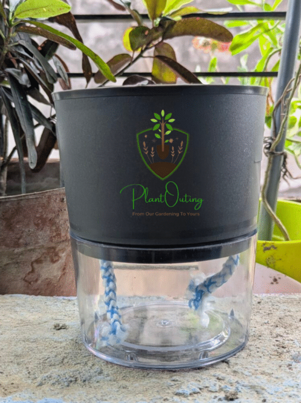 Self Watering Pots ( SET OF 3 )