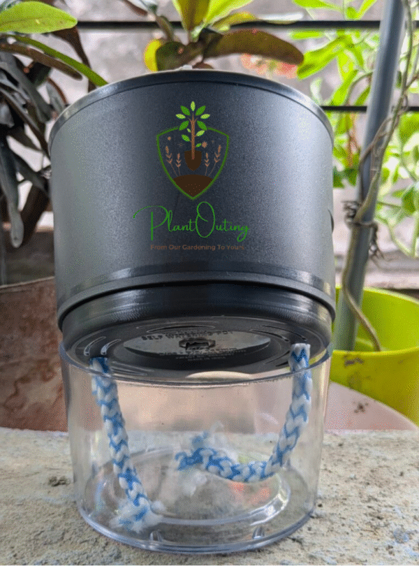 Self Watering Pots ( SET OF 3 )