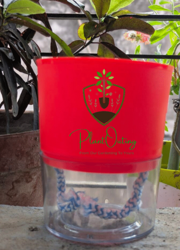 Self Watering Pots ( SET OF 3 )