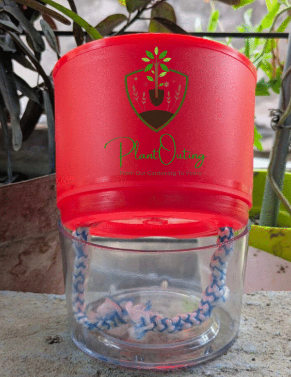 Self Watering Pots ( SET OF 3 )