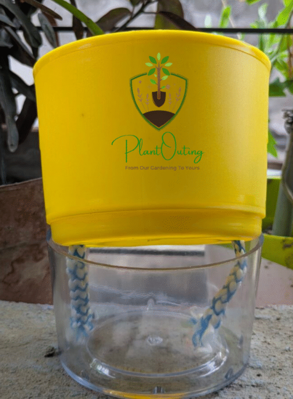 Self Watering Pots ( SET OF 3 )