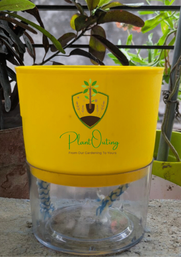 Self Watering Pots ( SET OF 3 )