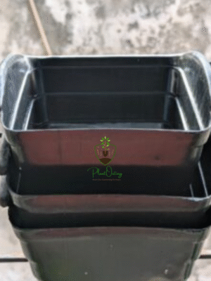 Vertical Premium Pot ( Pack Of 6 )