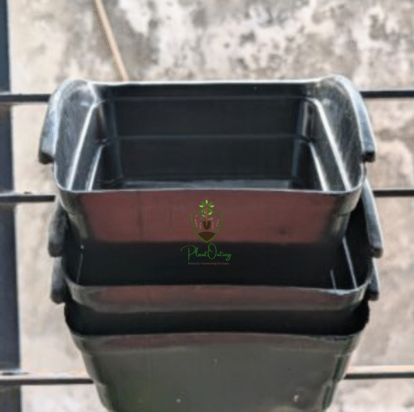 Vertical Premium Pot ( Pack Of 6 )