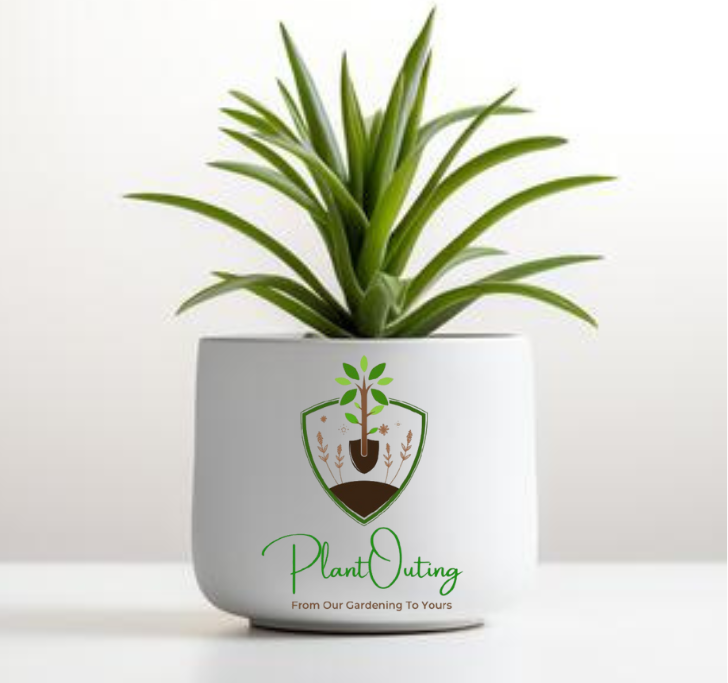 Plant Decoration